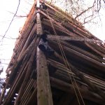 2. Stammtisch im Sientalwald in Rotkreuz