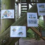 2. Stammtisch im Sientalwald in Rotkreuz