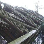 2. Stammtisch im Sientalwald in Rotkreuz