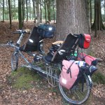 2. Stammtisch im Sientalwald in Rotkreuz