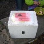 2. Stammtisch im Sientalwald in Rotkreuz