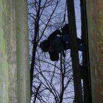 2. Stammtisch im Sientalwald in Rotkreuz