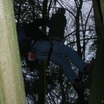 2. Stammtisch im Sientalwald in Rotkreuz