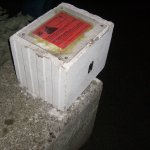 2. Stammtisch im Sientalwald in Rotkreuz