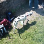 5. Stammtisch auf der Gesslerburg in Küssnacht